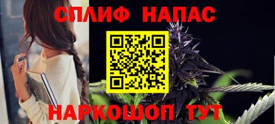 гашик Донской
