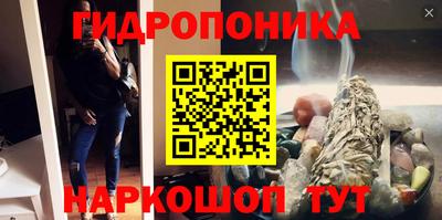 гашик Донской