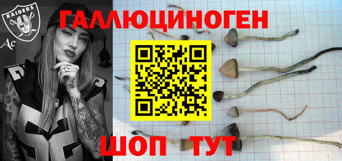 наркота  Галлюциногенные грибы мицелий  Лабытнанги  Вход с VPN  Галлюциногенные грибы мицелий 