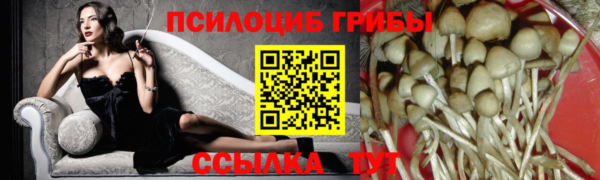 Псилоцибиновые грибы GOLDEN TEACHER Лабытнанги